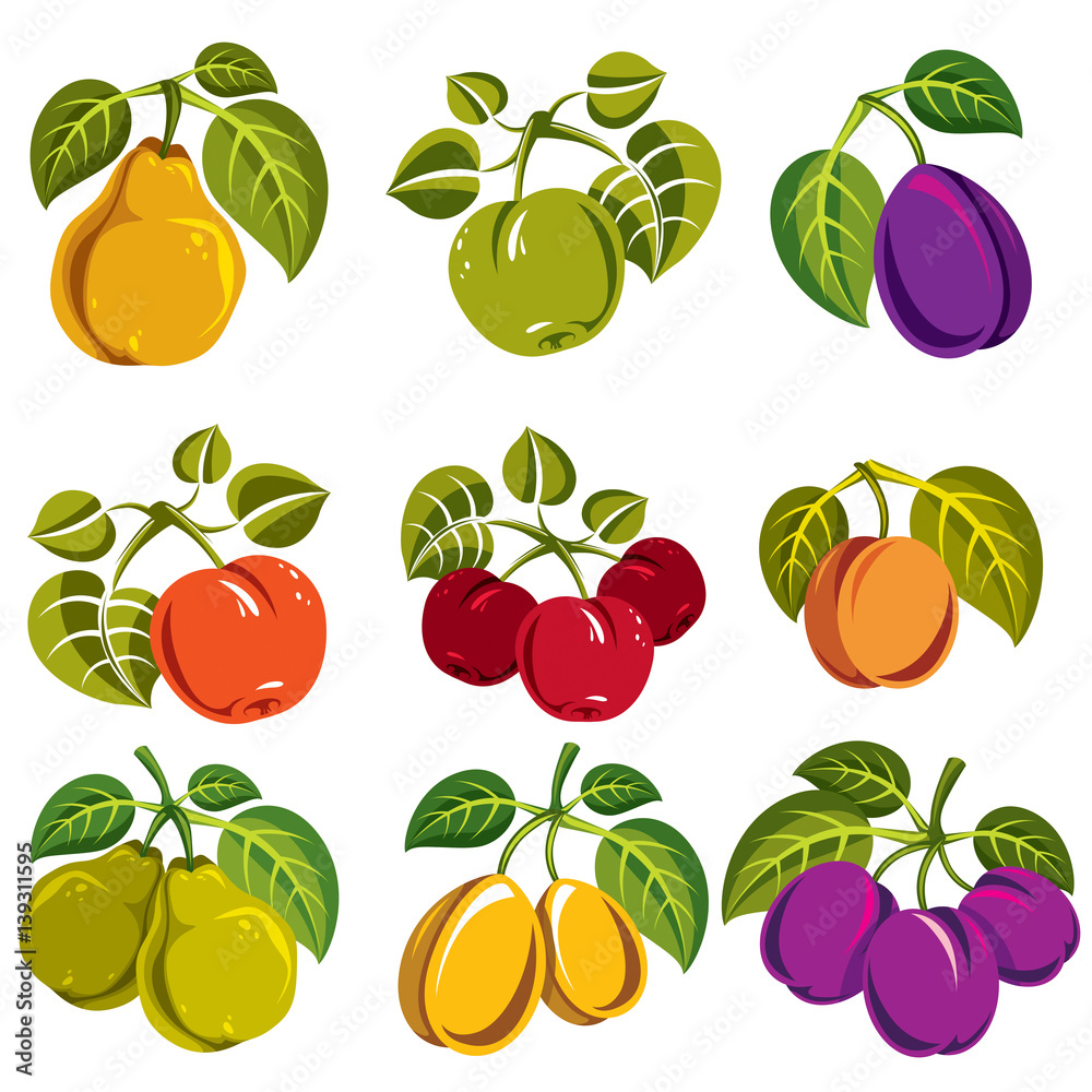 Obraz premium Collection of simple fruits vector icons with green leaves, harvest season symbols. Apricots, plums, pears, apples and cherries isolated design elements.