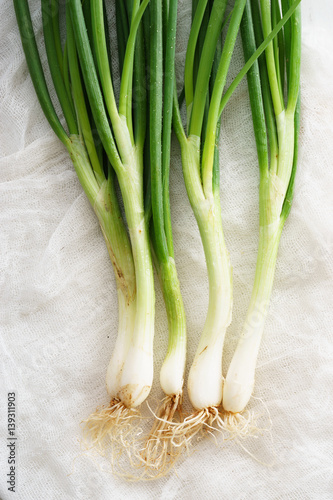 fresh spring onions