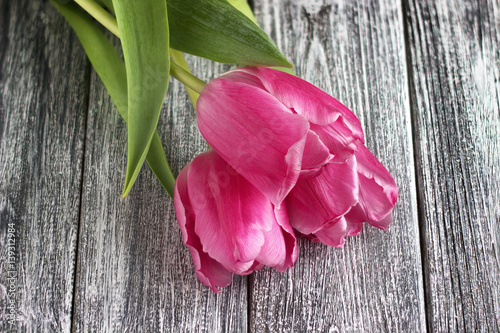 Pink tulips over shabby gray wooden table. Womans Day. 8 march.