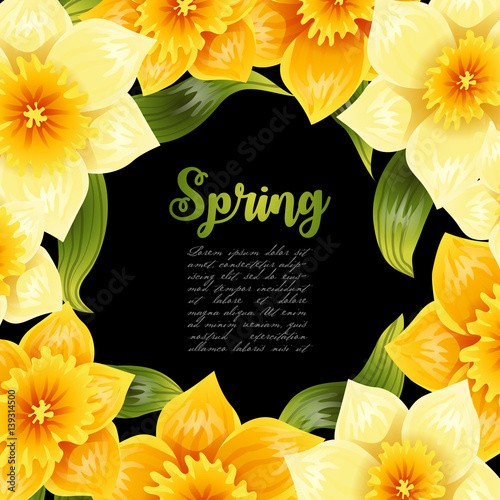 Elegant background with yellow daffodil narcissus. Spring flower with stem and leaves. Realistic pattern