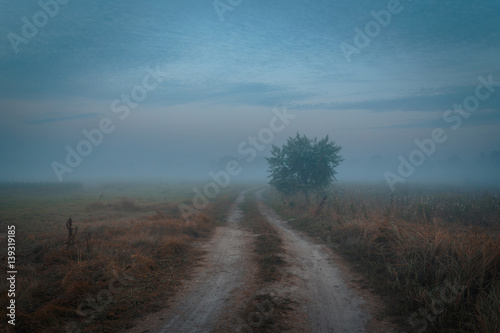 Beautiful misty sunrise landscape. Rural road,
