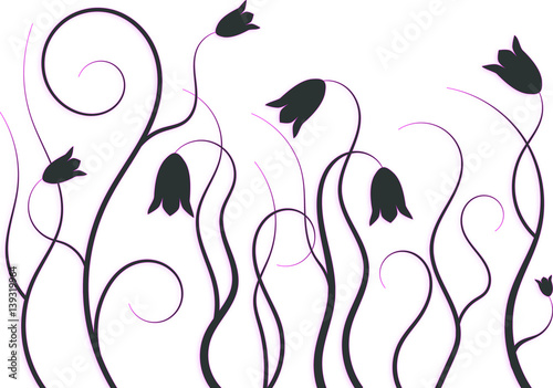 Floral Illustration