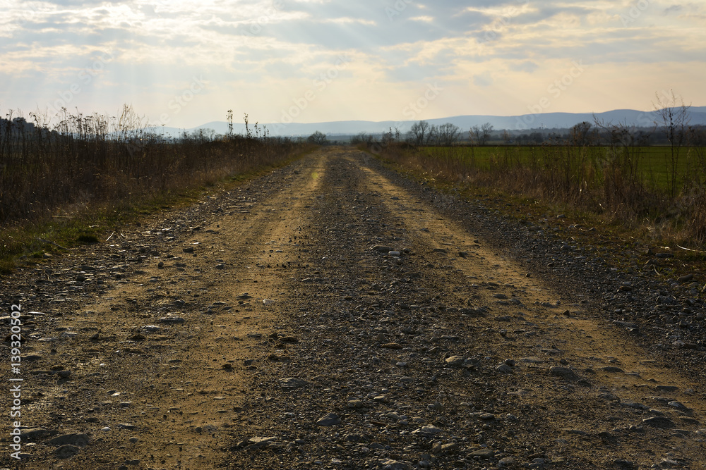 Summer field with road and sunset sky. Summer field with road and sunset sky.