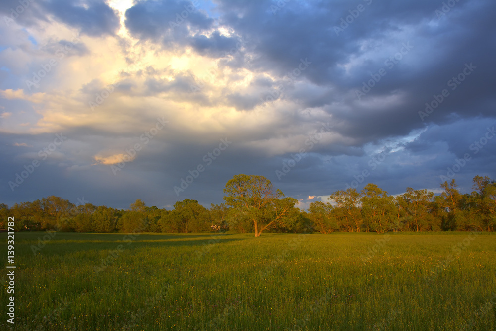 Beautiful landscape with sunset clouds and field