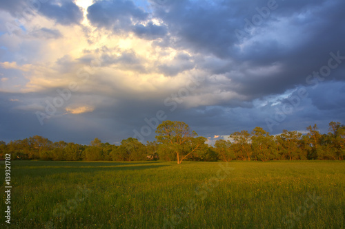 Beautiful landscape with sunset clouds and field