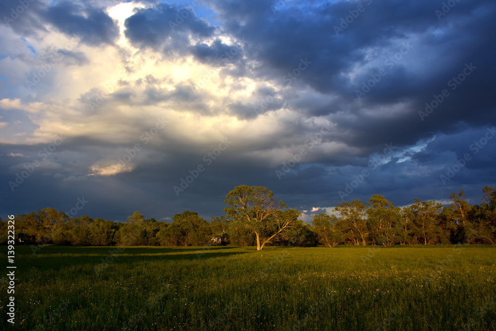 Beautiful landscape with sunset clouds and field. processed in Nik Color Efex Pro