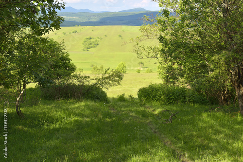 Beauty summer day on the green hills