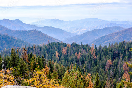 Sequoia National Park mountain landscape at autumn