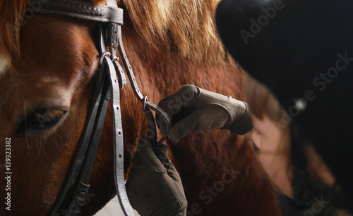 Fényképezés Bridle horse closeup. Fastening the bridle on the horse.