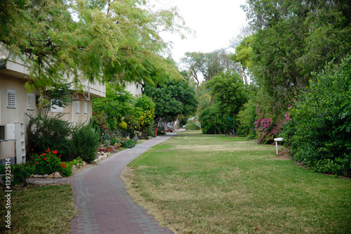 green street in Israeli kibbutz  photo