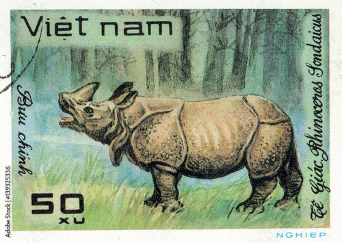 VIETNAM - CIRCA 2017: A Stamp printed in Vietnam shows rhinoceros Rhinoceros sondaicus, series Animals, circa 1981 photo