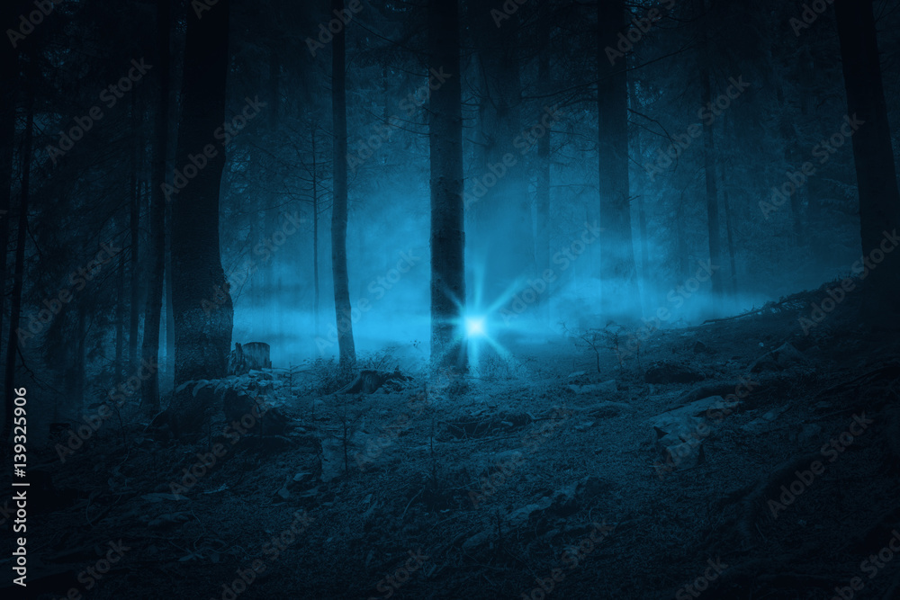Flash in the night. Landscape. Mystery forrest. Stock Photo Adobe Stock