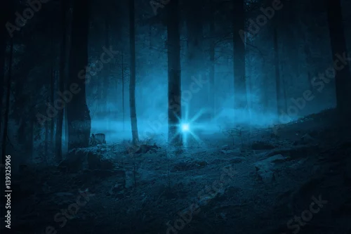 Obraz Błysk w nocy. Krajobraz. Tajemnica lasu.