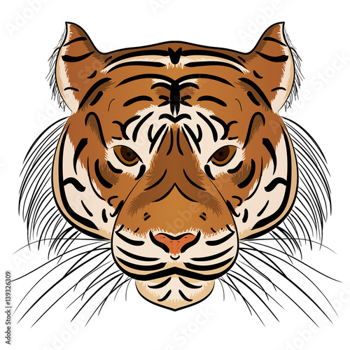 Fototapeta Naklejka Na Ścianę i Meble -  Vector illustration head ferocious tiger