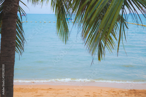 Fototapeta Naklejka Na Ścianę i Meble -  Coconut tree at sea beach | vacation holiday outdoor background