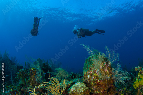 Scuba divers enjoy swimming above the tropical reef in the deep warm blue tropical water around grand cayman in the caribbean. people enjoy floating above the coral