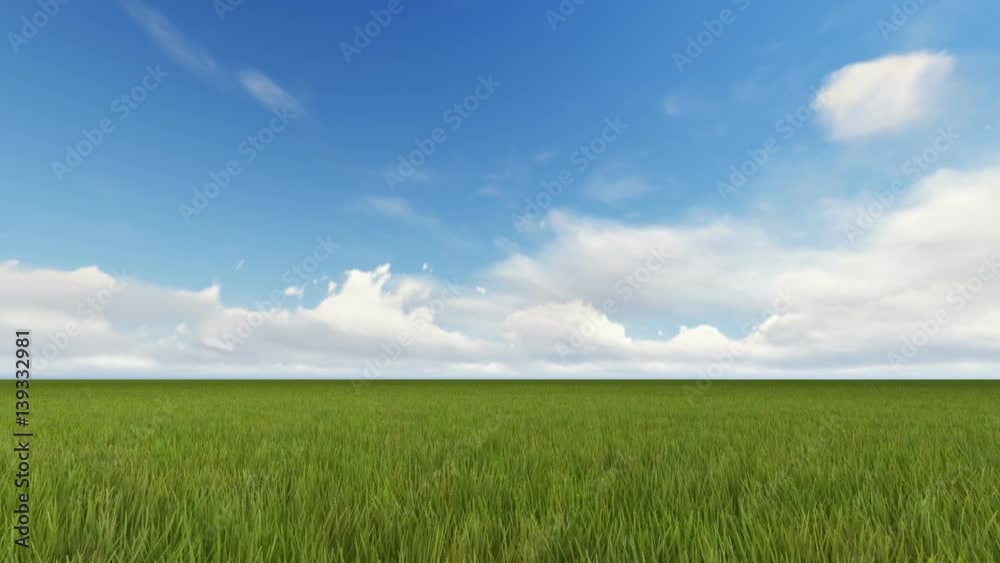 Blurred Grass Background HD Shot With Stop Blurred Grass Background HD Shot With Stop