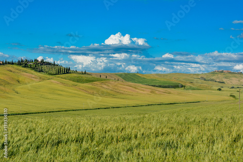 Tuscan hills in the spring © DD25