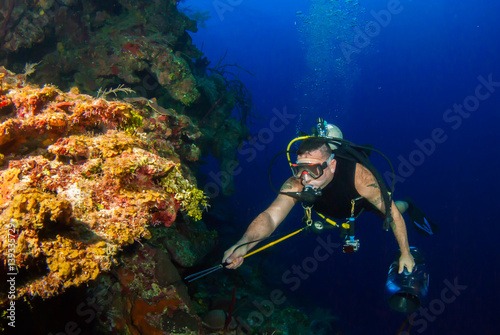 A scuba diver hunts underwater for invasive lionfish in order to remove them from the tropical caribbean reef. The environmentally destructive species is often sold to restaurants for people to eat