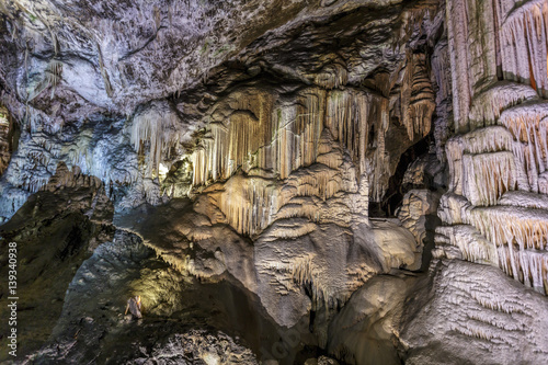 Φωτογραφία Postojna grotte