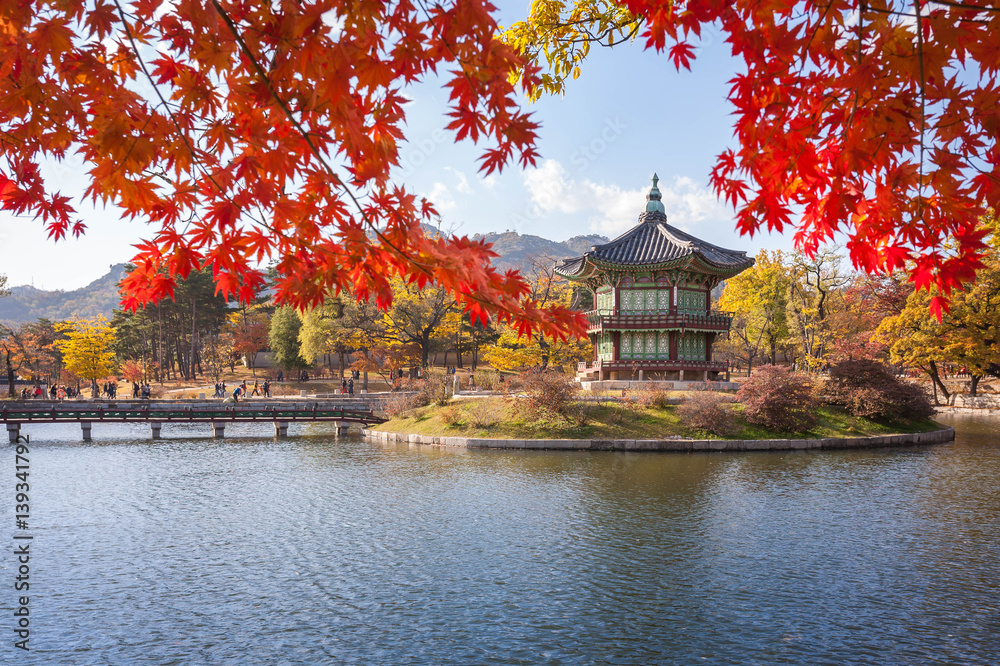 Fototapeta premium gyeongbokgung palace in autumn with blur maple in foreground, Seoul, South Korea.