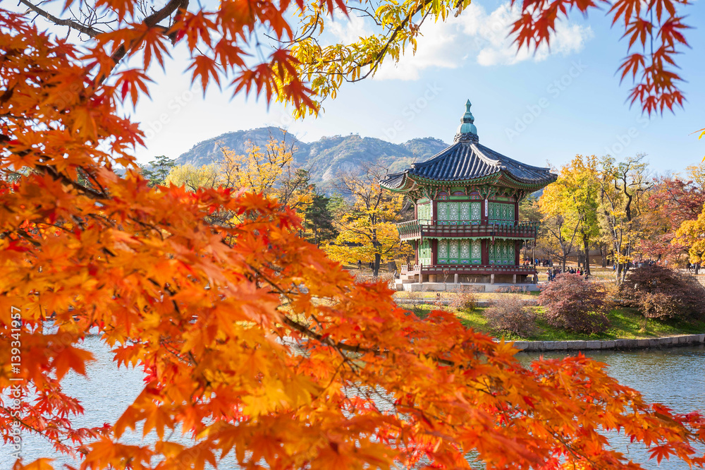 Fototapeta premium Gyeongbokgung palace in autumn, Seoul, South korea.