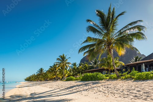 Relaxing holidays in tropical paradise. Mauritius island.