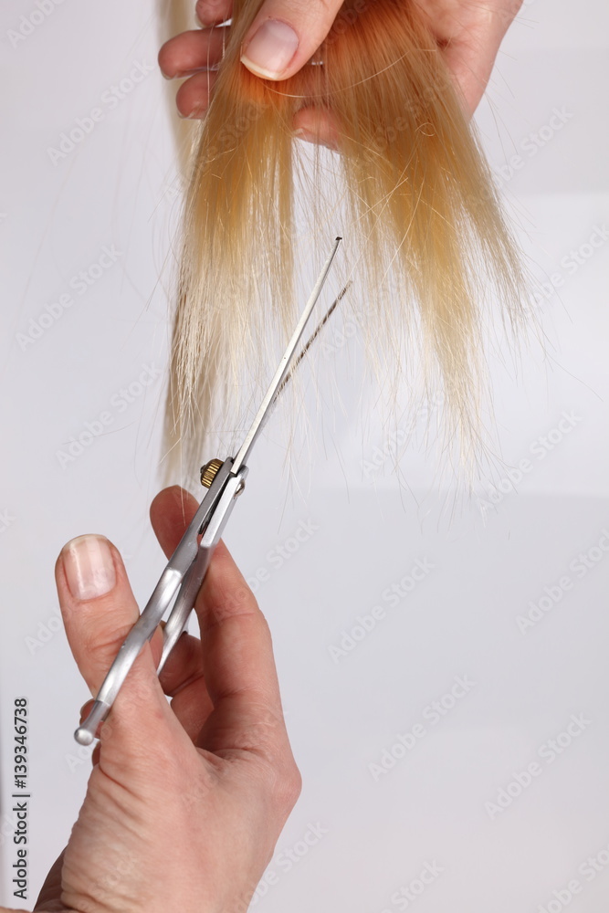 Stylish Professional Barber Scissors, Hair Cutting and Thinning Scissors on  light grey background. Hairdresser salon concept, Hairdressing Set. Haircut  accessories. Stock Photo | Adobe Stock