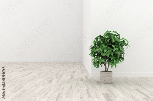 Fototapeta Naklejka Na Ścianę i Meble -  White modern empty room. Scandinavian interior design. 3D illustration