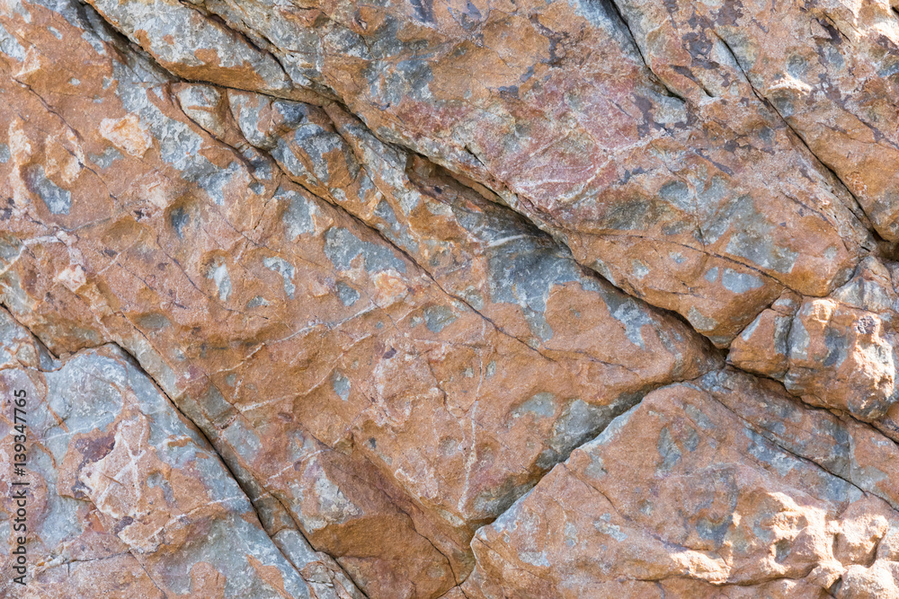 Fototapeta premium stone with cracks on the seashore in sunlight