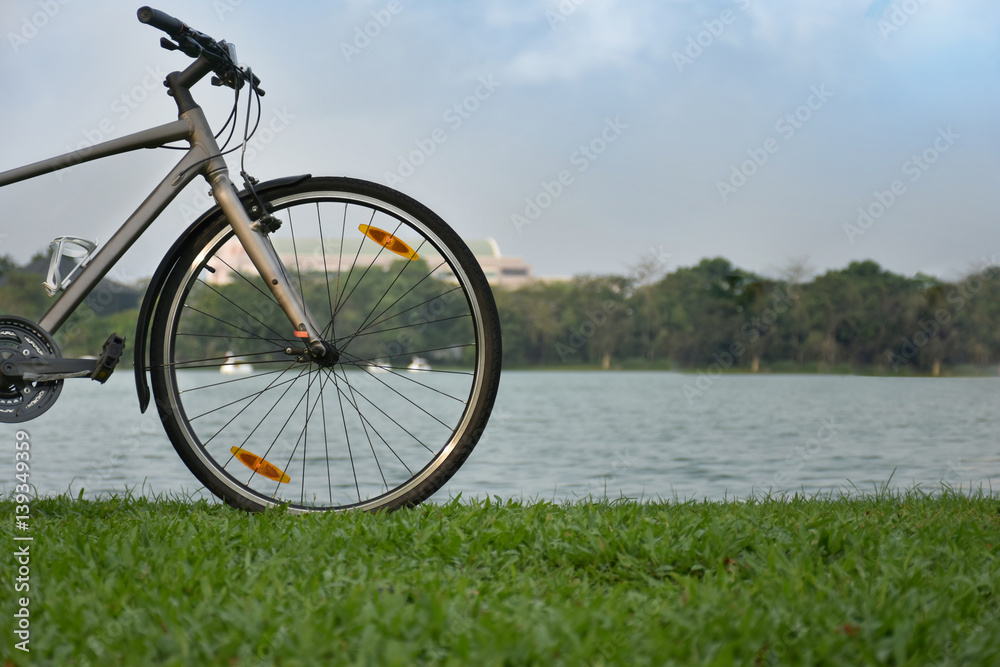 Fototapeta premium Bicycles parked near a quiet pond.
