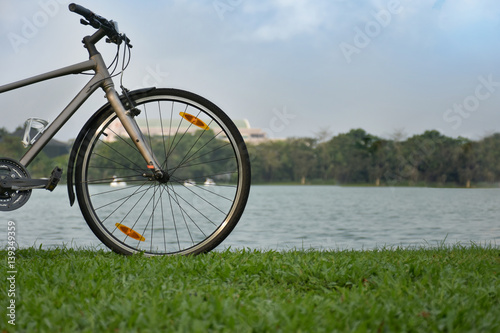 Bicycles parked near a quiet pond. photo