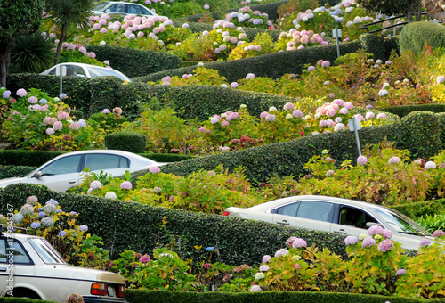 San Francisco, Lombard Street, one of the most famous landmark and the crookedest street in the world. photo