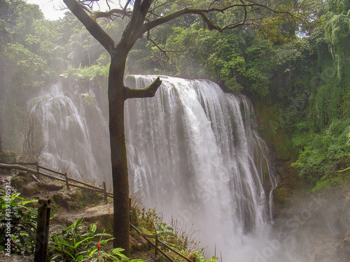 Wasserfall im Regenwald photo