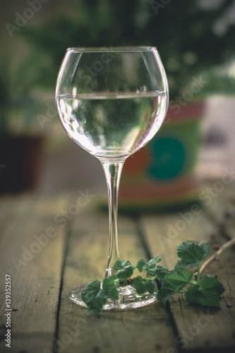 A glass of water on the flowers and plants against