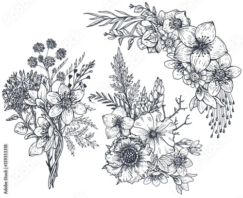 Set of Floral compositions. Bouquets with flowers and plants.