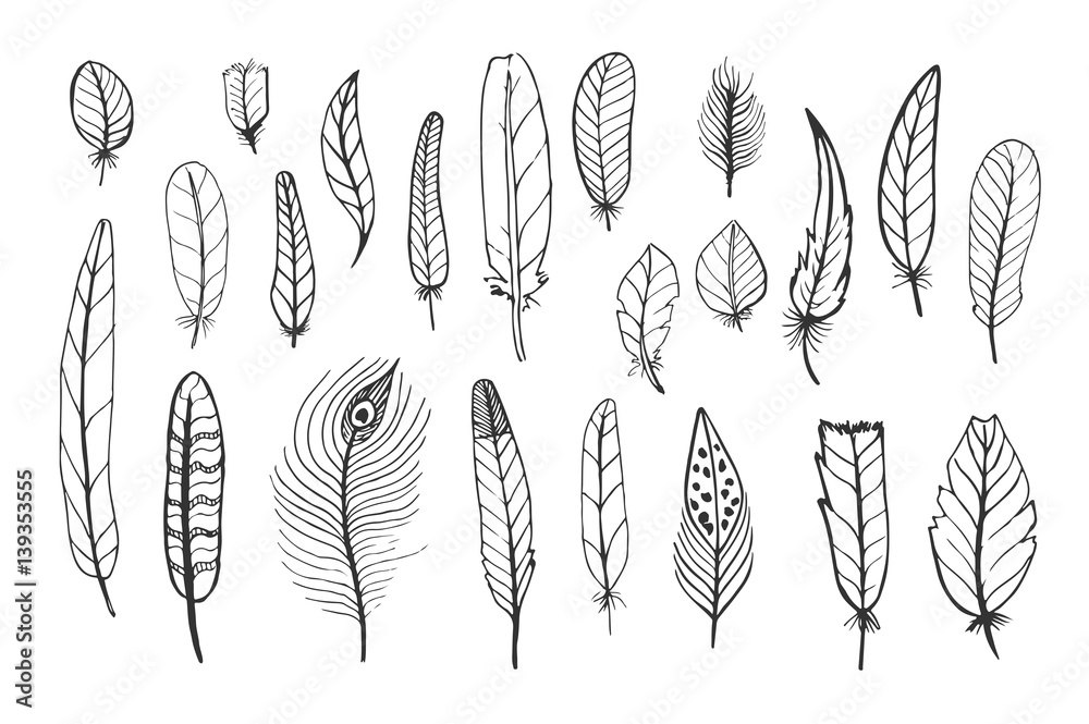 A set of cute feathers, black hand drawn doodles on a white background A set of cute feathers, black hand drawn doodles on a white background