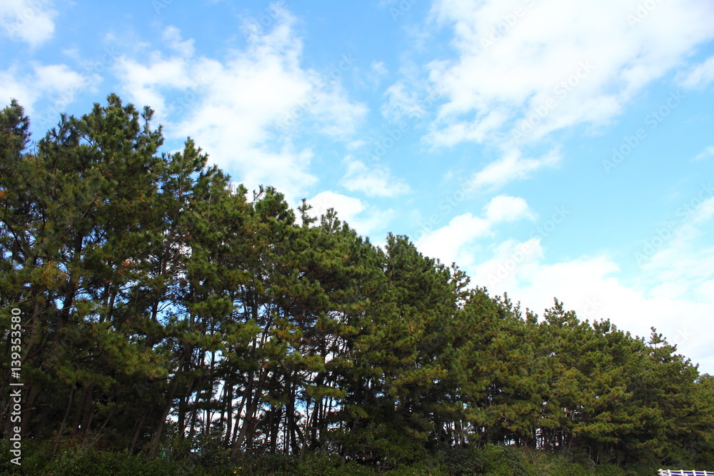 Akanehama Beach Park ; The park is in Narashino City, Chiba Prefecture,Japan.