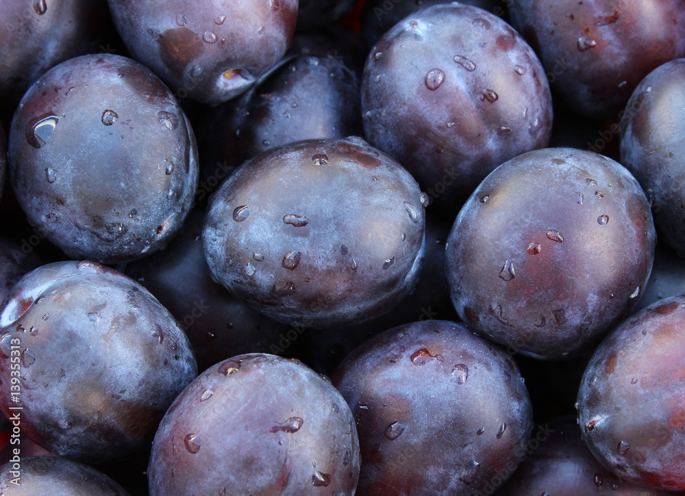 Fresh plums with water droplets - obrazy, fototapety, plakaty 