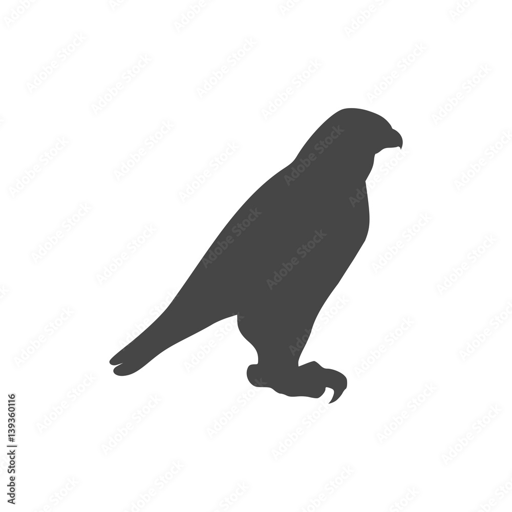 Fototapeta premium Falcon bird icon