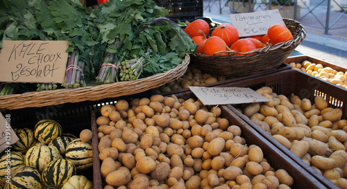 Vegetables at market potato, kale cabbage, tomato and crookneck photo