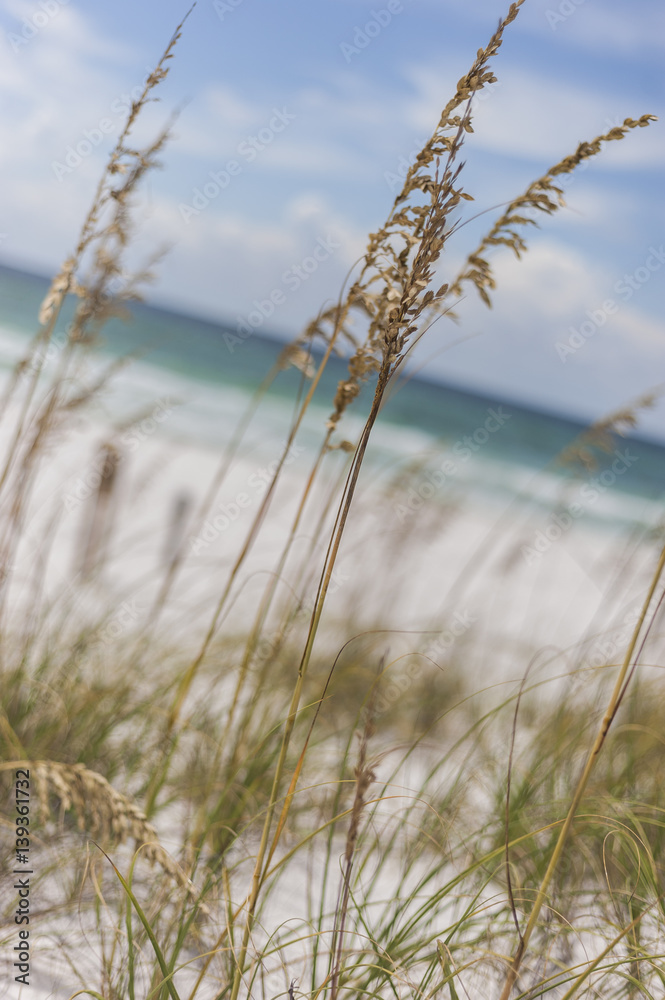 Fototapeta premium Destin