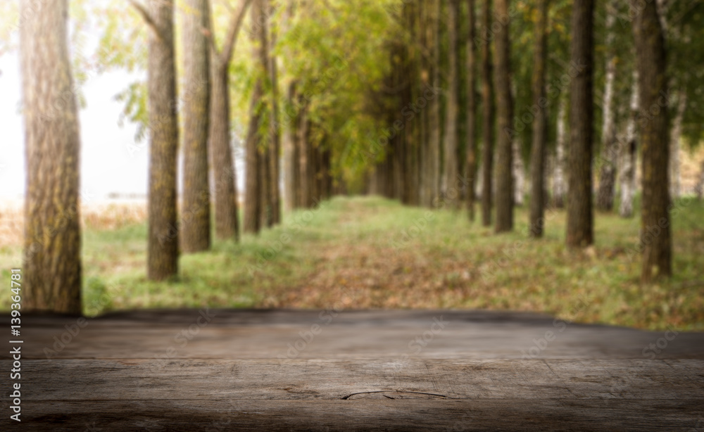 Empty perspective white wood over blurred trees with bokeh background, for product display montage Empty perspective white wood over blurred trees with bokeh background, for product display montage