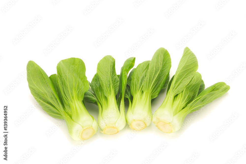 Bok choy vegetable isolated on the white background