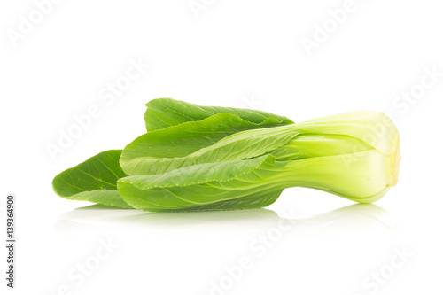 Bok choy vegetable isolated on the white background photo