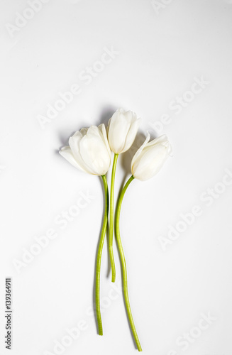 Fototapeta Naklejka Na Ścianę i Meble -  Floral background with red and white tulips