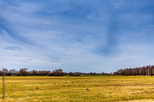 Mecklenburg-Vorpommern photo