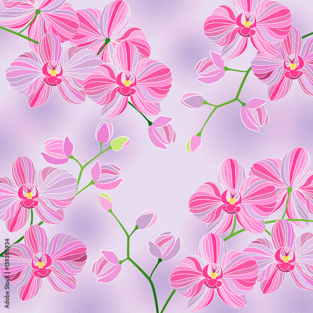 Vector illustration. Branch of beautiful pink Phalaenopsis orchids for decoration backgrounds. Vector illustration. Branch of beautiful pink Phalaenopsis orchids for decoration backgrounds.