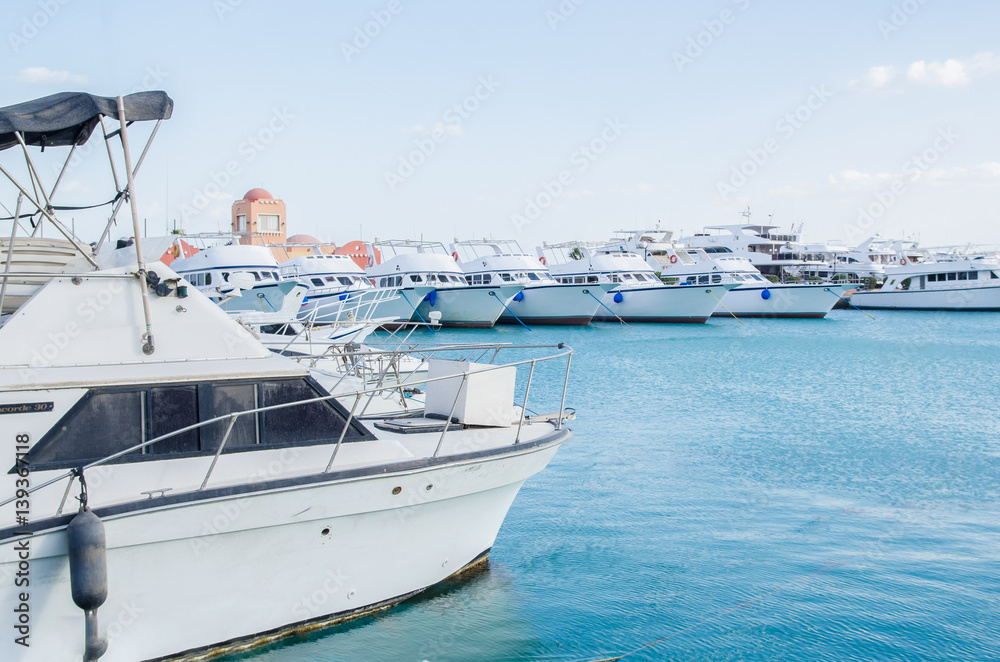 Fototapeta premium Yachts at the Marina