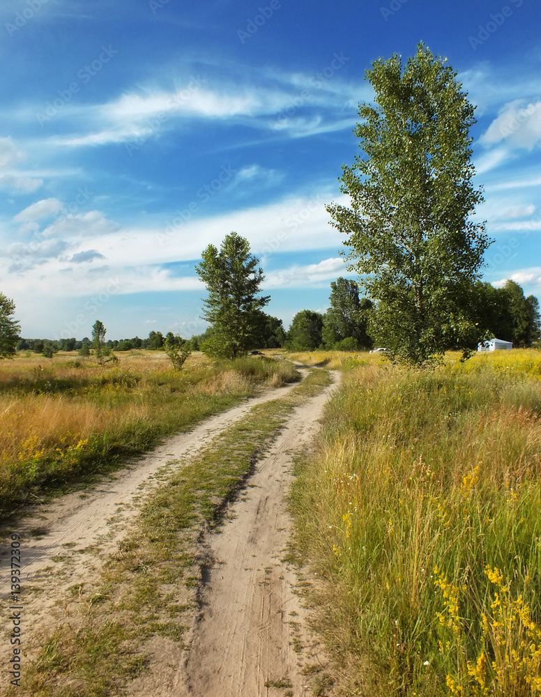 Road in field Road in field